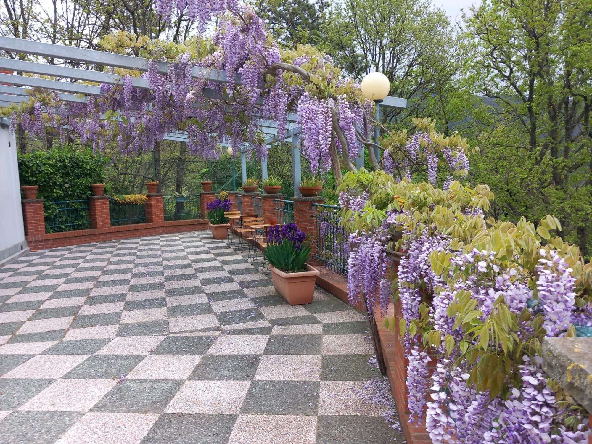 Bella Bed & Breakfast